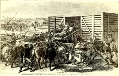 Viehtrichter in Abilene, Kansas