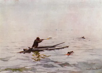 Norfolk Broads: Punt-Gunning auf Breydon