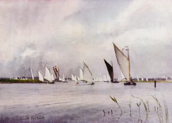 Norfolk Broads: Regatta in Hickling
