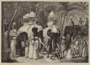 Die Elefanten des Rajah von Travancore