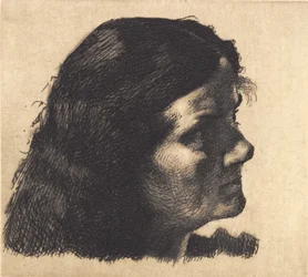 Prøveplade: Ältere Frau mit offenem Haar