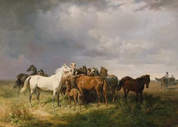 Pferde auf der Puszta