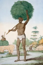 Hindu-Diener beim Gras schneiden, 