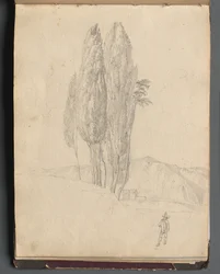 Album mit Ansichten von Rom und Umgebung, Landschaftsstudien, Seite 20a: Bäume