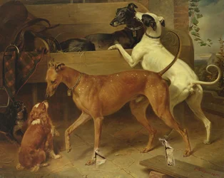 Krugers Hunde, 1855