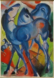 Blaue Füllen