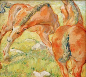 Mutterpferd und Fohlen