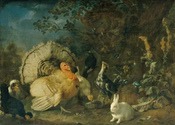 Hausgeflügel und Kaninchen