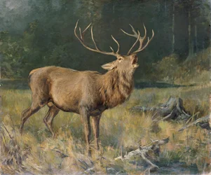 Brunfthirsch