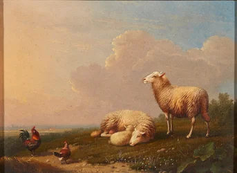 Schafe und Hühner auf einer Wiese