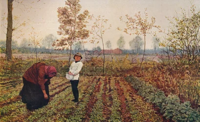 Das Veilchenfeld, 1867, c1915