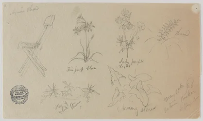 Stuhl und blühende Pflanzen, Baalbek