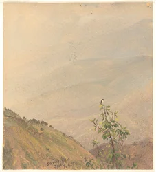 Ferne Hügel, Jamaika