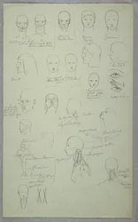Anatomische Studien, 1865–1870