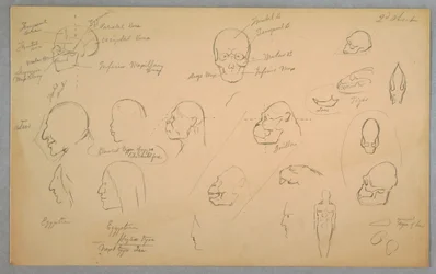 Anatomische Studien, 1865–1870