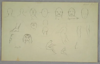 Anatomische Studien, 1865–1870