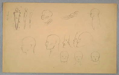 Anatomische Studien, 1865–1870