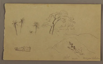 Botanische Skizzen, Figur, Mai–August 1865