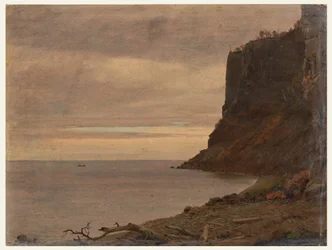 Küste der Grand Manan Insel, Kanada, August oder September 1851