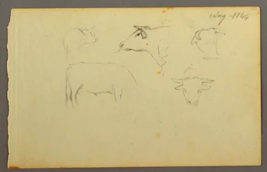 Zeichnung, Kühe, 1844