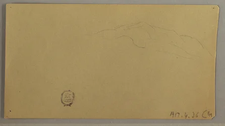 Blühende Pflanzen, ca. 1856