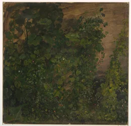 Zeichnung, Dschungelvegetation, 1865