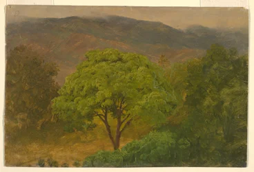 Zeichnung, Berglandschaft, August 1865
