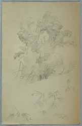Studien von Bäumen und Ästen, Jamaika, August 1865