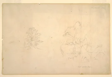 Zeichnung, Baum und toter Baumstamm, September 1844