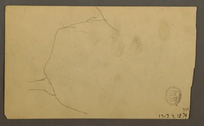 Zeichnung, Baumwurzeln über einen Felsen wachsend (Turner Mountain), 1877