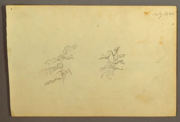 Bäume, Juli 1844