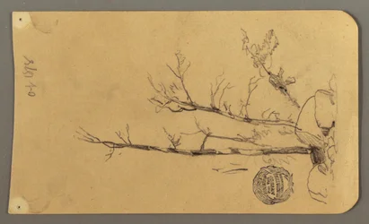 Bäume, Felsen, 1878