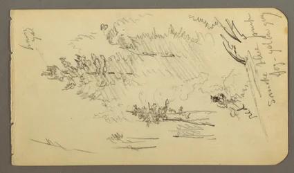 Bäume im Nebel, möglicherweise 1878