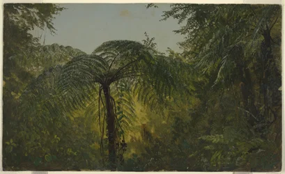 Tropische Landschaft, Juni oder Juli 1865