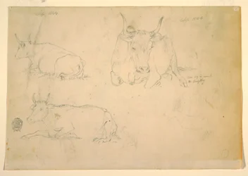Ansichten von ruhenden Rindern, September 1844