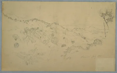 Zeichnung, Bewaldetes Tal mit einem großen Farn und fernen Bergketten, Jamaika, Juli 1865