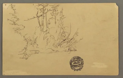 Bewaldetes Ufer, möglicherweise 1877