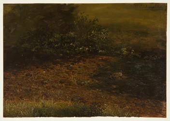 Zeichnung, Waldstrom in den Catskills, September 1848