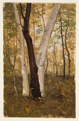 Im Wald, Hudson, New York