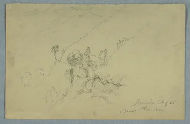 Straße durch die Blauen Berge, in der Nähe von Homestead, Jamaika