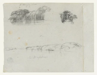 Skizzen von Bäumen, Reben und einem Ufer des Rio Magdalena, Kolumbien