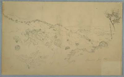 Bewaldetes Tal mit einem großen Farn und fernen Bergketten, Jamaika