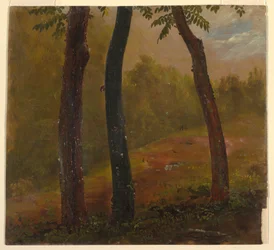 Waldszene, Jamaika
