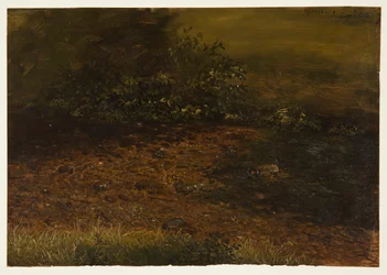 Waldstrom in den Catskills