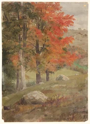 Wälder im Herbst