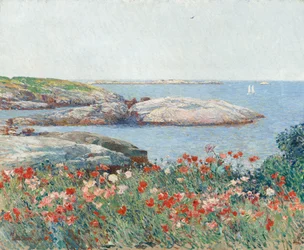 Mohnblumen, Isles of Shoals, 1891