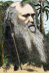 Charles DARWIN (1809-1882) Karikatur von F. Waddy in „Once A Week“ von 1873