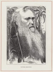 Charles Darwin, Natürliche Selektion