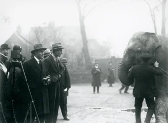 Ein indischer Elefant, möglicherweise Sundermalah, nimmt an einer Außenübertragung aus dem London Zoo teil, 1925