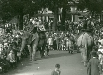 Elefantenritte, mit zwei asiatischen Elefanten, beobachtet von Menschenmengen im London Zoo im August 1926